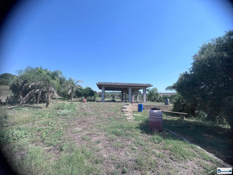 Immagine WhatsApp 2025-07-23 ore 17.39.12_50cc7e6d.jpg